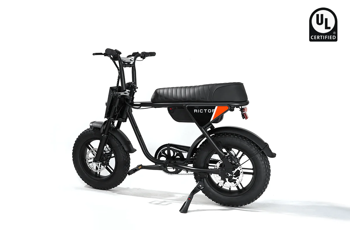 Flexx Ebike