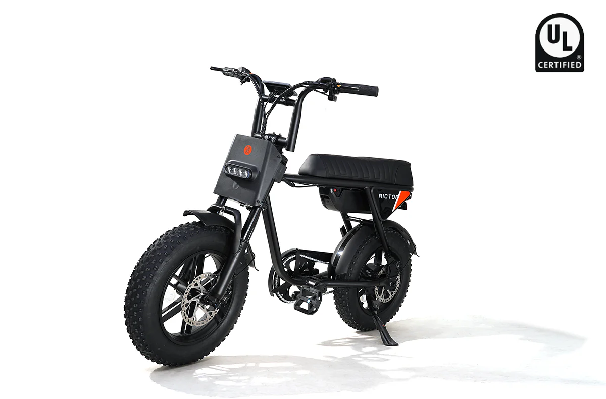 Flexx Ebike - Image 3