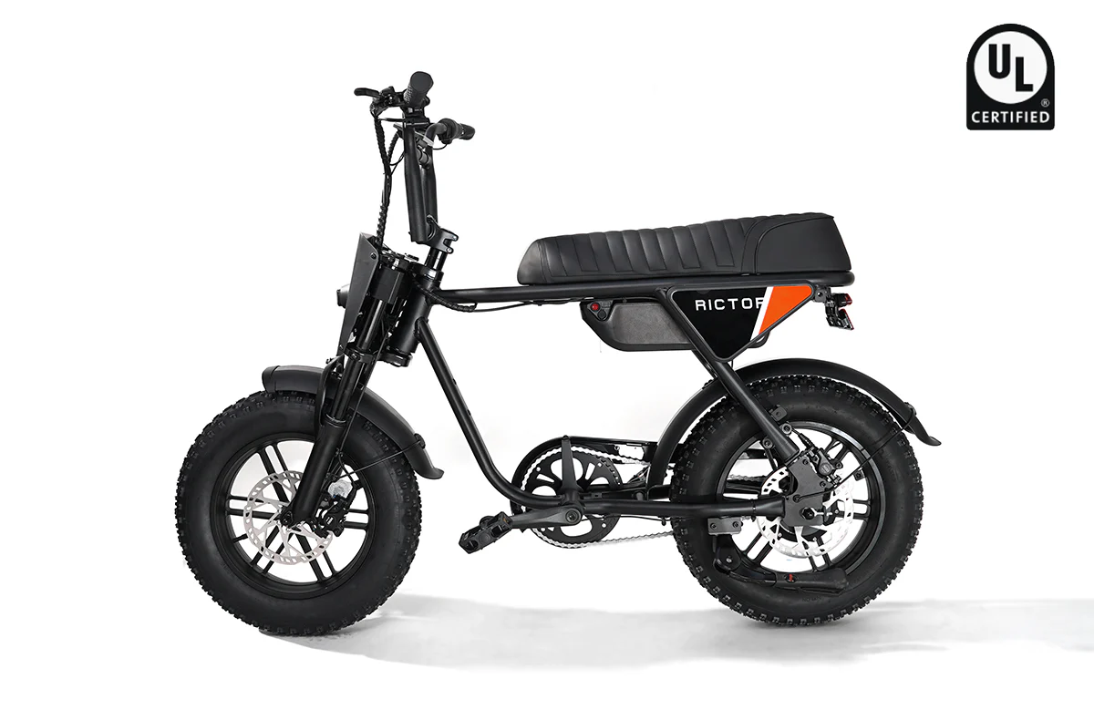 Flexx Ebike - Image 4