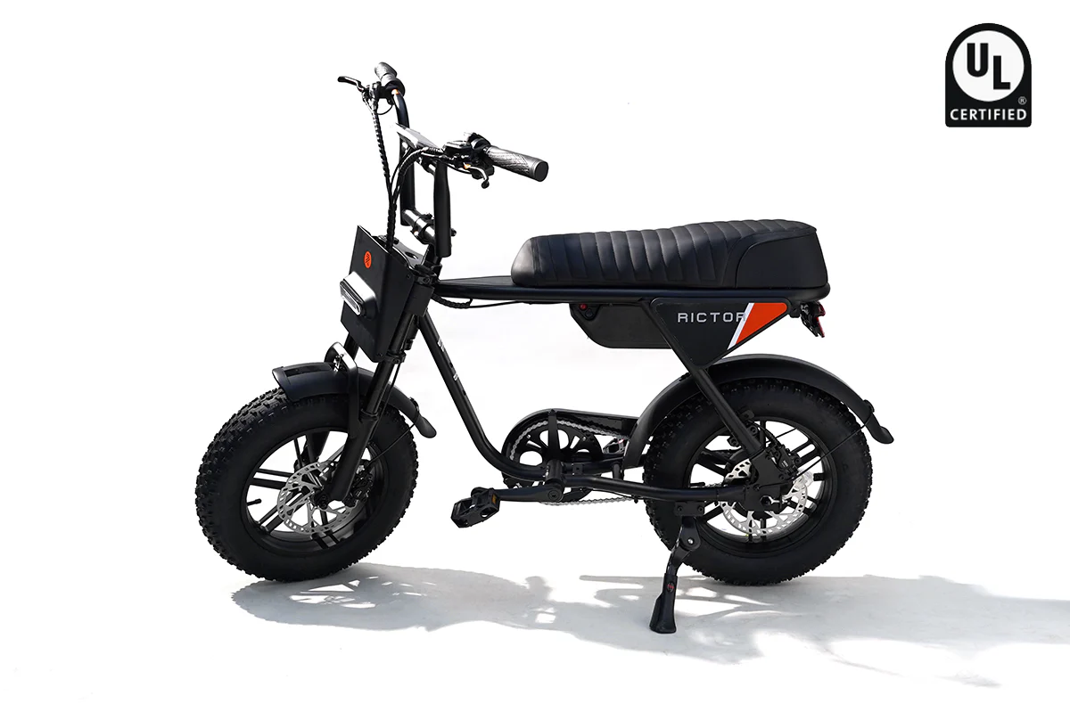 Flexx Ebike - Image 5