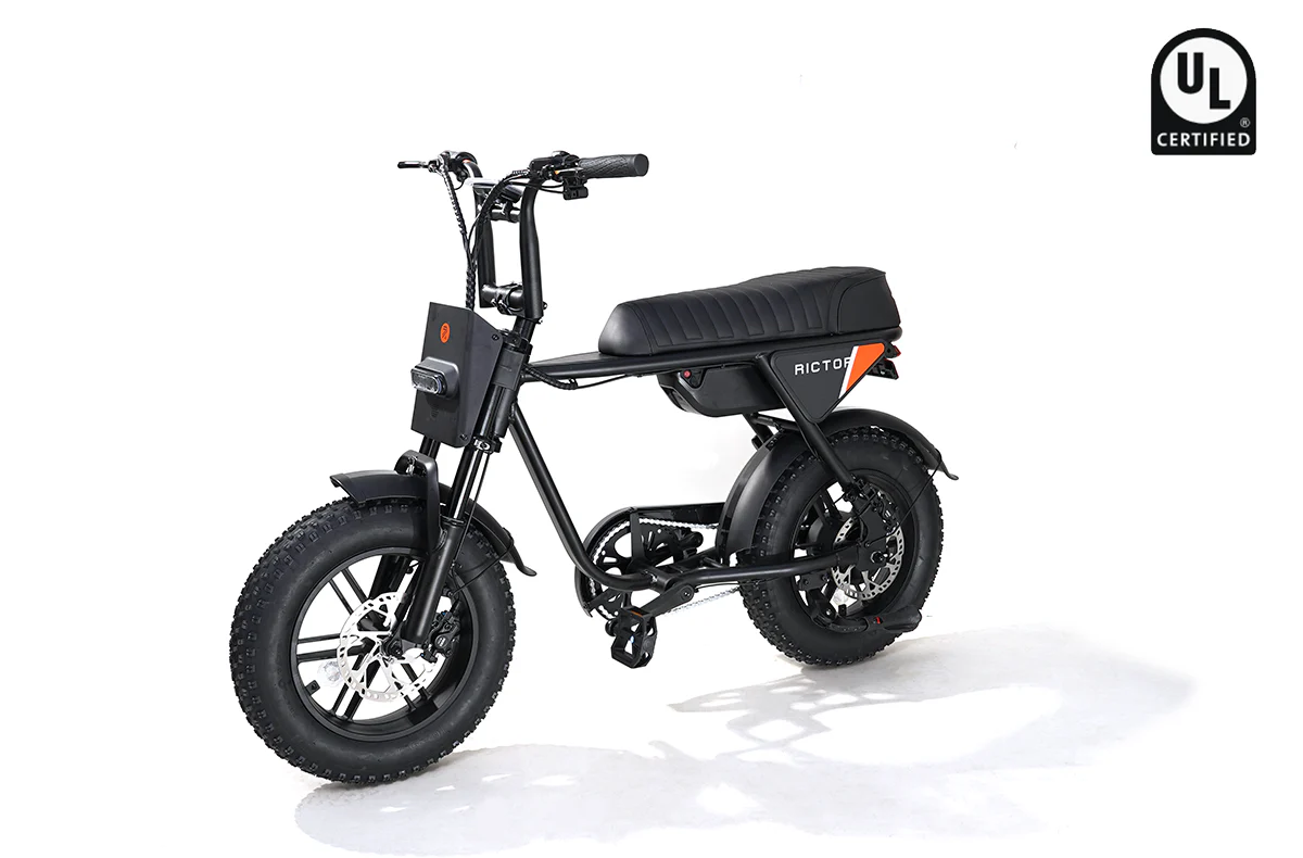 Flexx Ebike - Image 6